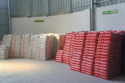 惠州膩子粉全面指南 批發、品牌、招商與價格解析