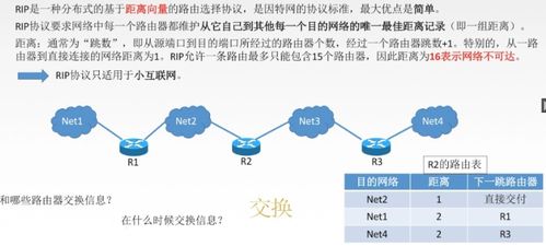 網(wǎng)絡(luò)層技術(shù)咨詢 原理、應用與發(fā)展